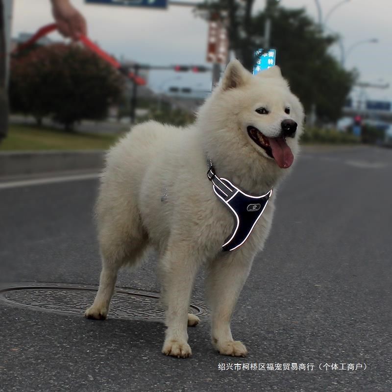 狗狗牵引绳胸背带狗绳子大小中型犬宠物用品柴犬小狗项圈脖圈遛狗,淘宝优惠券,粉丝福利购,淘宝优惠卷