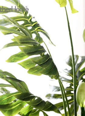 北欧落地绿植摆件 家居客厅办公室服装店装饰盆景 裂口芋植物摆设