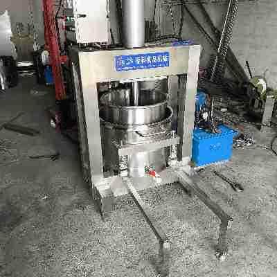 LY-300液压榨汁机，食品压榨神器，减少废料，提高产量！,淘宝优惠券,粉丝福利购,淘宝优惠卷