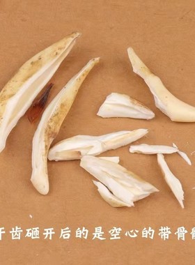 狼牙黑狗牙藏獒牙狼狗牙真牙吊坠