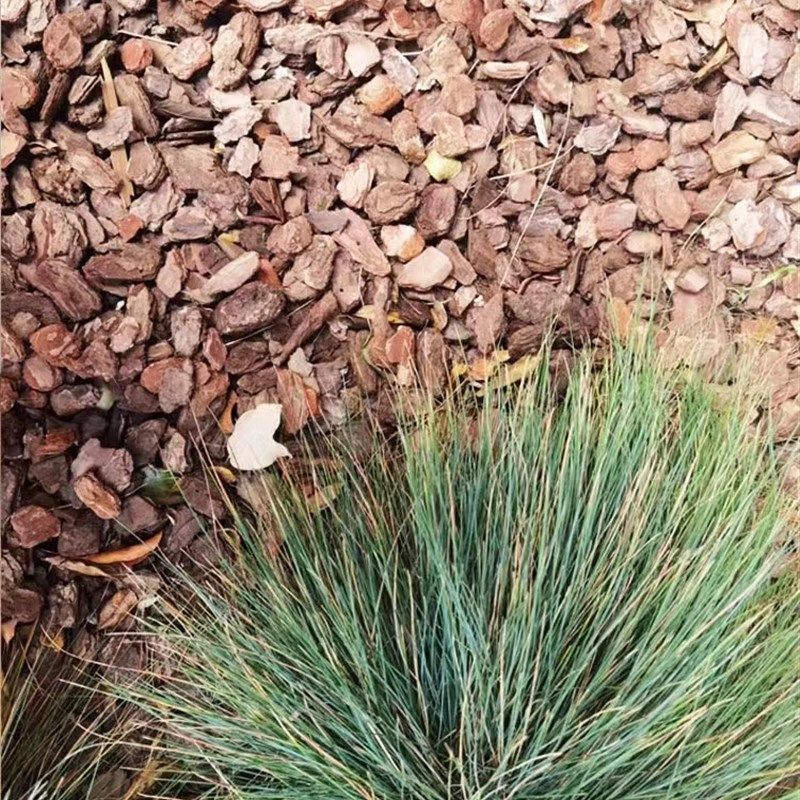 打磨松树皮造景园林有机覆盖物花池树穴花园庭院碎干树皮松鳞铺面,淘宝优惠券,粉丝福利购,淘宝优惠卷