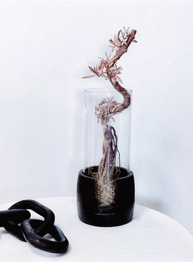 侘寂风黑色碳化木水培花瓶别墅家居摆件鱼缸桌面装饰木质工艺花桶
