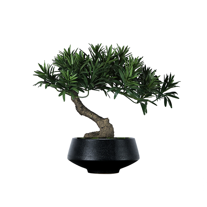 中式仿真创意罗汉松盆景前台茶几茶室餐厅墙柜博古架装饰桌面摆件 - 图3