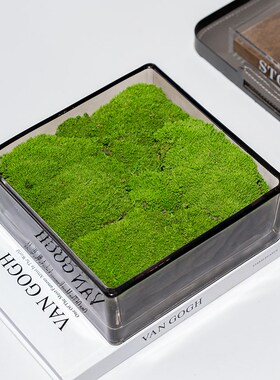 现代透明水晶玻璃花瓶花器永生绿植盆景餐桌洽谈桌卧室装饰品摆件