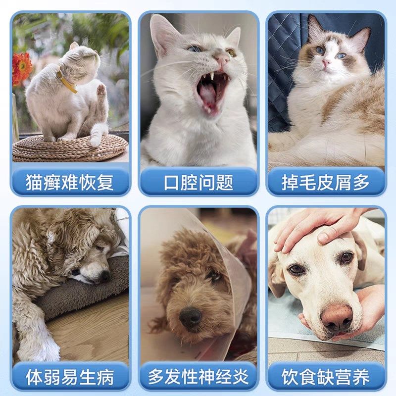 强生宠儿维生素B营养液宠物猫咪狗狗伤口术后快速恢复愈合100ml,淘宝优惠券,粉丝福利购,淘宝优惠卷