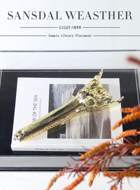 样板间样品屋展示中心软装饰品书房书桌陈设品鳄鱼头骨摆件压克力