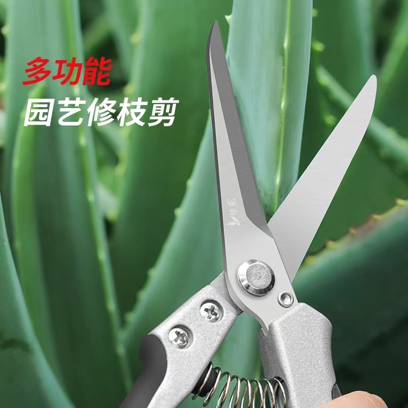 绿苑稀果剪修枝采摘剪火龙果剪刀采果神器园艺修花工具疏果摘果剪,淘宝优惠券,粉丝福利购,淘宝优惠卷