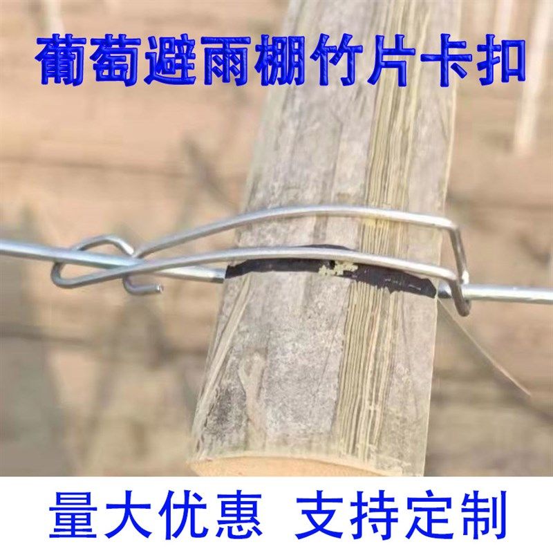 葡萄避雨棚竹片卡扣不锈钢避雨夹玻纤杆接管压顶簧压膜夹大棚专用,淘宝优惠券,粉丝福利购,淘宝优惠卷