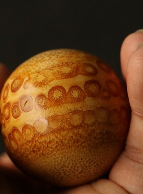 精品名家张念超纯手工制作天然满钉老竹根手球竹雕健身球十几年料