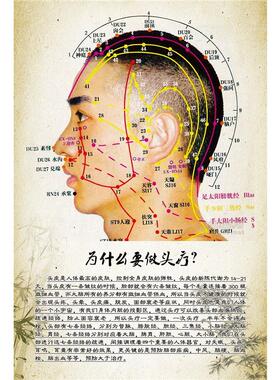 头部穴位图自粘海报中医养生馆装饰画人体头部穴位图全身穴位贴画