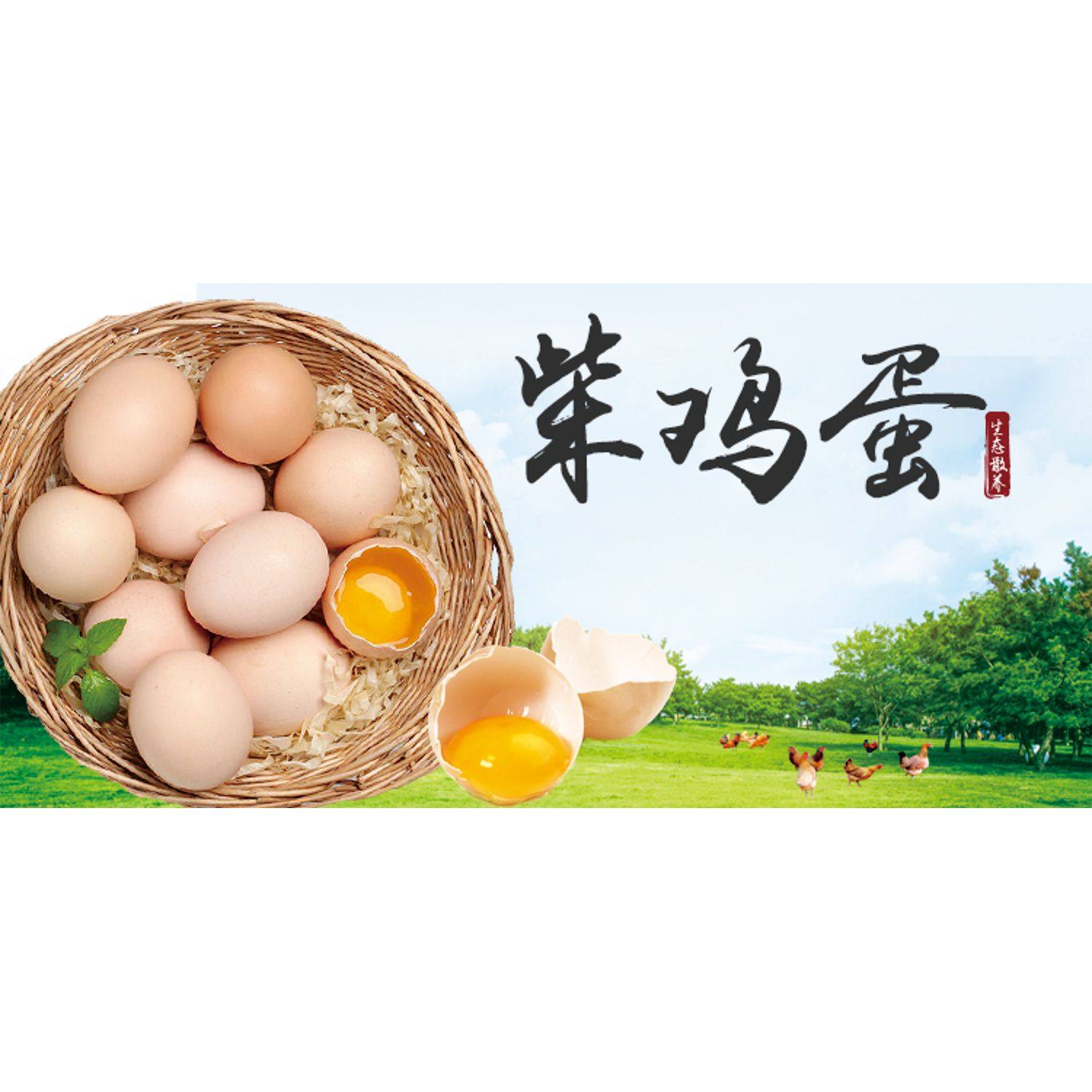 土鸡土鸭鸡蛋宣传画超市出售家禽店铺装饰背景墙画鸡肉分割图贴纸,淘宝优惠券,粉丝福利购,淘宝优惠卷