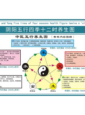 中医养生馆五行图解挂图挂画墙贴 人体五行五脏相生相克贴图海报