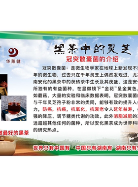 黑茶茶马古道黑茶九大保健功效海报展板安化千雨茶中国六大茶系
