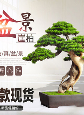 仿真迎客松盆景崖柏枯山水松柏罗汉松玄关松树绿植假绿植