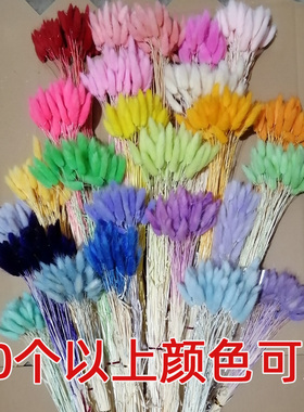 兔尾草干束灰黑色狗尾永生浮油材料客厅装饰物