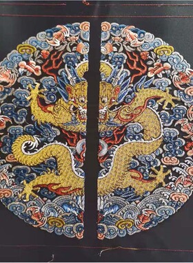 中国风清a代古装汉服皇帝服装团龙盘金绣五爪龙袍