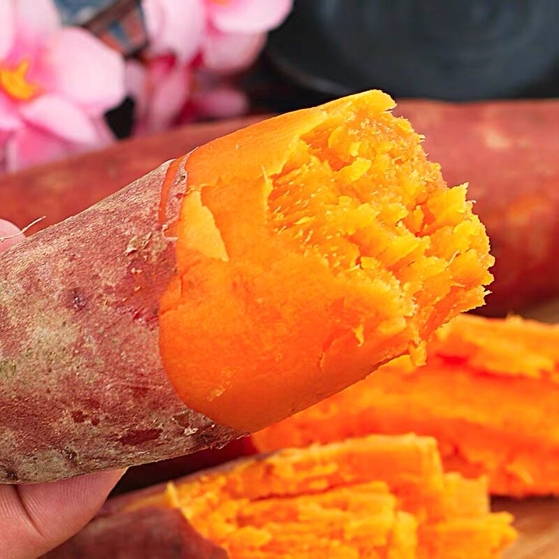 现挖糖心蜜薯10斤红薯新鲜蔬菜农家自种小香薯烤番薯沙地板栗地瓜