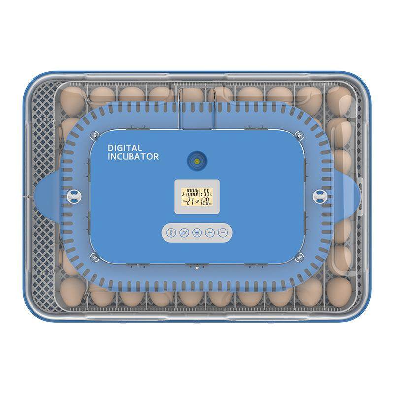 新品70枚双电源鸡蛋孵化器一键照蛋自动上水精准控湿孵化机,淘宝优惠券,粉丝福利购,淘宝优惠卷