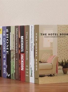 田园假书仿真书客厅样板房饰品摆设道具书壳电视柜装饰书