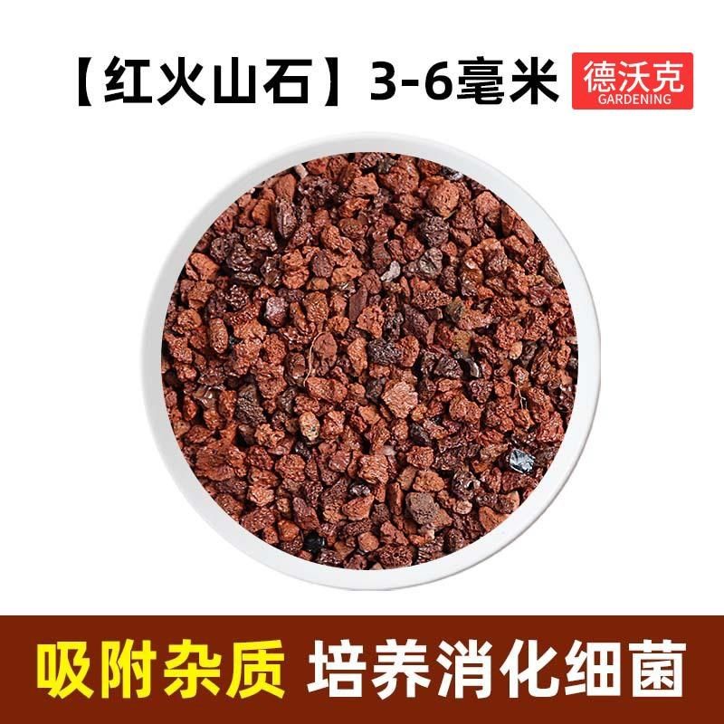 火山石颗粒鱼缸专用兰花专用养花种植土多肉铺面铺底砂林铺面垫底,淘宝优惠券,粉丝福利购,淘宝优惠卷