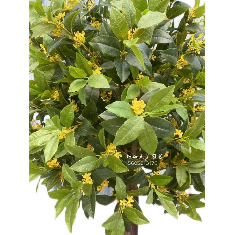 仿真桂花树酸角树大型仿真树许愿树酒店商场大堂中秋节装饰落地摆,淘宝优惠券,粉丝福利购,淘宝优惠卷