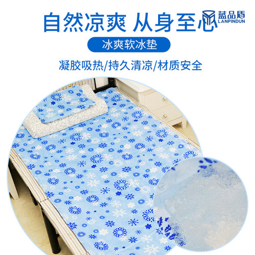 蓝品盾卧室凝胶免注水降温床垫家用单人沙发水垫凉垫学生宿舍冰垫 - 图1