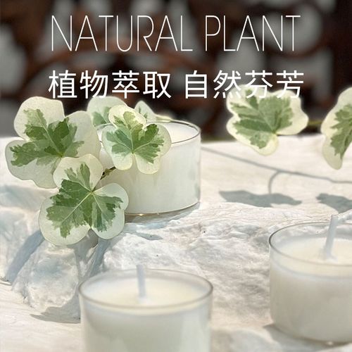 欧斯特香薰蜡烛薰衣草香氛室内家用卧室瓶装小众高级香氛礼盒装 - 图1