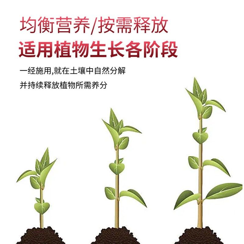 植物营养棒缓释棒懒人型缓释营养棒养花肥料家用通用型花卉绿植用,淘宝优惠券,粉丝福利购,淘宝优惠卷