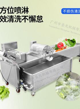 电动水果蔬菜气泡清洗机全自动果蔬清洗机喷淋式玉米秋葵气泡