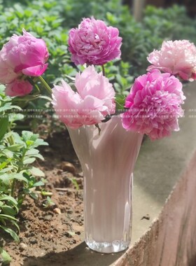 奶橙色珠光小巧自由白菜造型手工瓶水养插器家居饰