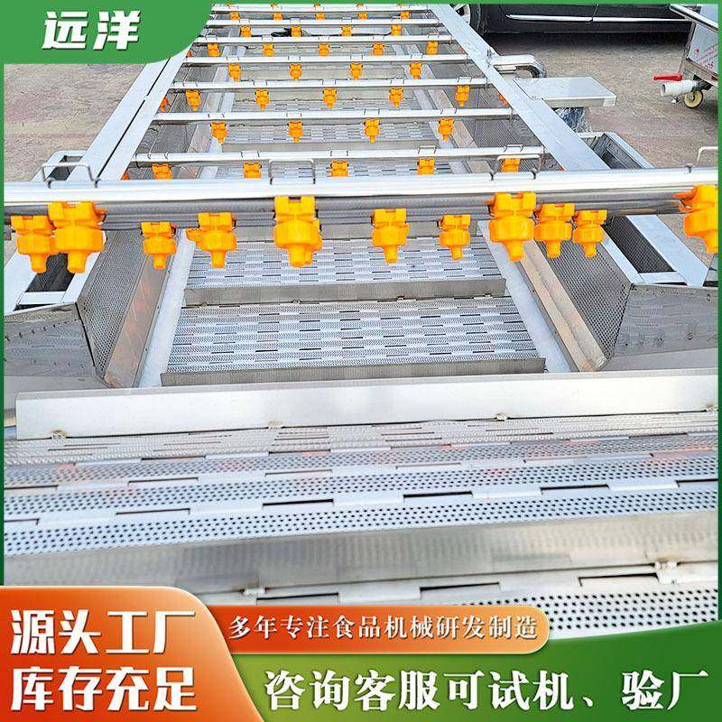 厂家供应果蔬清洗设备柠檬气泡清洗机橙子橘子大型气泡清洗机,淘宝优惠券,粉丝福利购,淘宝优惠卷