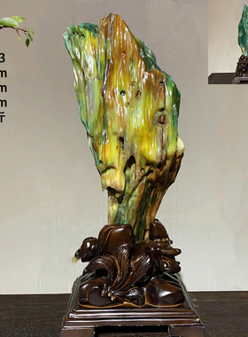 缅甸天然树化玉绿料木化石玉石石头奇石观赏石办公  送礼佳品