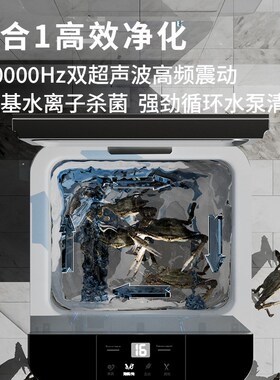 飞氧超声波果蔬洗食材净化器去农残全自动消毒净食