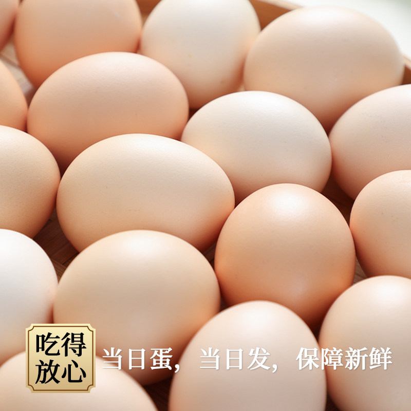 好平饭1元！新鲜土鸡蛋大个50g/枚*10个