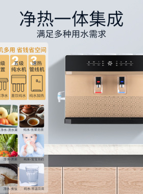 净水器直饮家用壁挂式ro反渗透纯净水农村井水净水机纯净水除氯垢