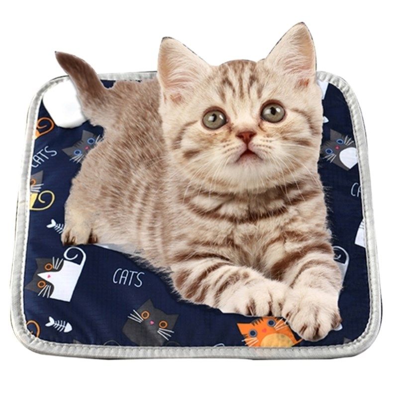 发热孵化狗狗蜜袋鼯替代品鹦鹉专用电热毯加热垫保温毯取暖器鸟类,淘宝优惠券,粉丝福利购,淘宝优惠卷