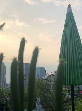 大号绿色油纸伞古装汉服中国风纯色F老式桐油户外大型庭院伞防雨