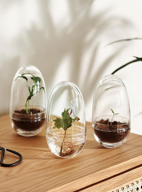 瑞典   微景观罩 苔藓生态瓶