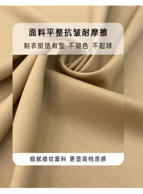 高端纯色精纺羊毛面料连衣裙服装布料西装职业装套装料子高支高密