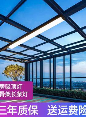 阳光房专用吸顶灯户外阳台入户灯防雨走廊顶灯长条露台屋檐阳光棚
