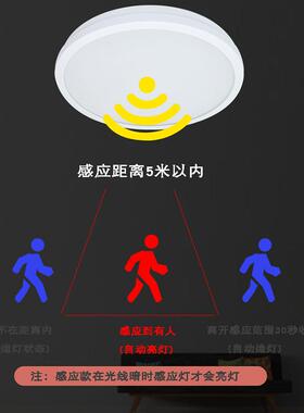 振辉36V低压智能吸顶灯LED过道走廊灯具楼梯灯雷ZF-ZFJC-E7W-8332