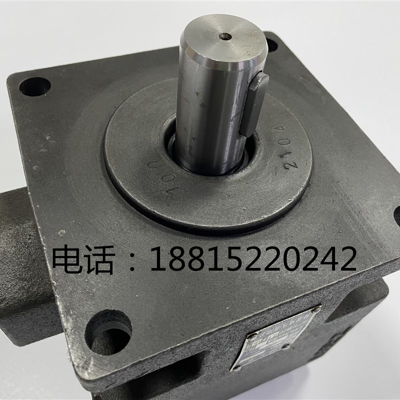 平面磨床油泵M7130 叶片泵YB1-100杭州 M7132B M7140液压泵 M7160 - 图2