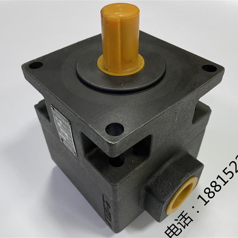 平面磨床油泵M7130 叶片泵YB1-100杭州 M7132B M7140液压泵 M7160 - 图1