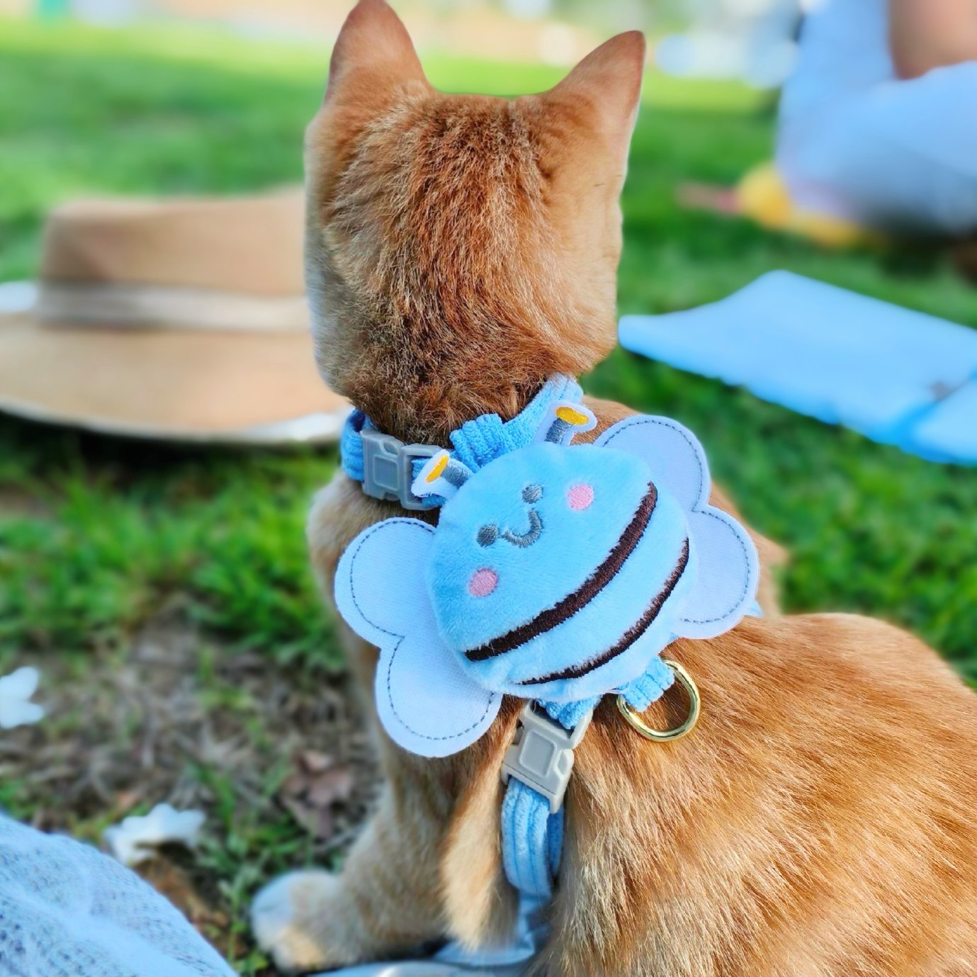 猫咪牵引绳猫链防挣脱工字型遛猫遛狗绳小猫宠物脖套链子牵狗用品,淘宝优惠券,粉丝福利购,淘宝优惠卷