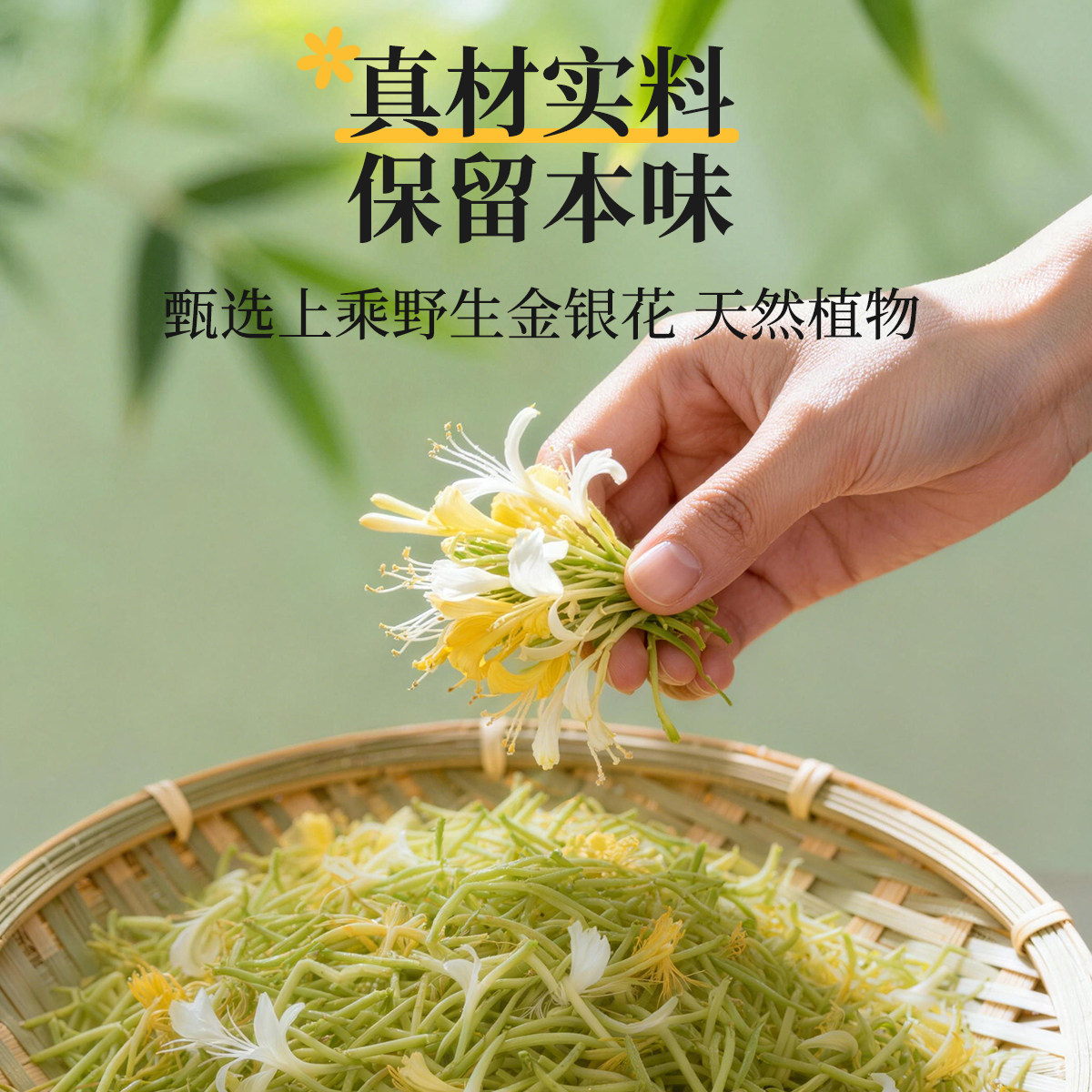 行时金银花露整箱无糖野生银花露饮品儿童清凉解暑降火植物饮料茶,淘宝优惠券,粉丝福利购,淘宝优惠卷