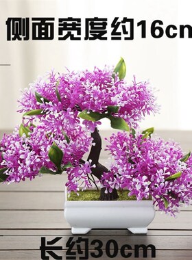 屋内装饰品仿真小装客厅室内桌面假绿植盆景摆设