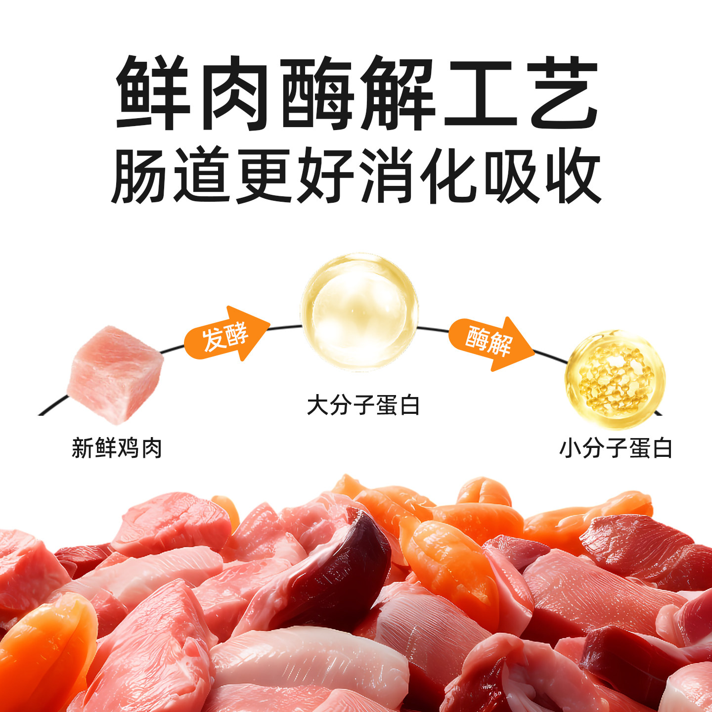 纽瑞曼低温烘焙猫粮鲜肉无谷高蛋白易吸收鸡肉鸭肉梨兔肉猫咪主食,淘宝优惠券,粉丝福利购,淘宝优惠卷