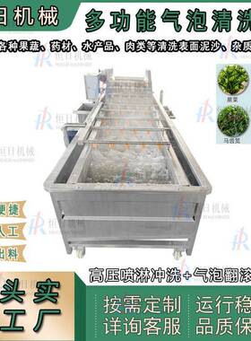 材气泡清洗机商用果蔬清洗流水线辣椒小白菜油菜蔬菜清洗设备