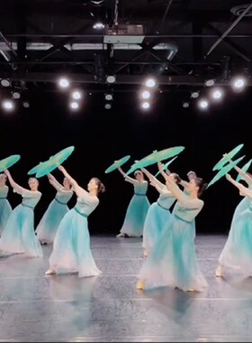 雨涧春行图古典舞蹈伞走秀伞傣族舞演出伞道具伞透明绢纱伞跳舞伞