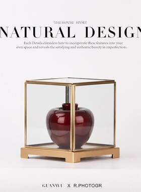 新中式红色花瓶玻璃罩摆件样版房间书柜展厅售楼处隔断博古架饰品